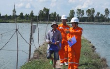 Cuộc thi clip '50 năm -Tỏa sáng miền Nam': Công ty Điện lực Đồng Tháp đồng hành cùng bà con nông dân