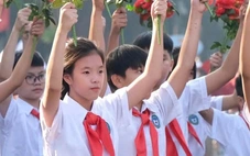 Học sinh tiểu học Việt Nam thuộc top đầu Đông Nam Á lĩnh vực toán, đọc hiểu và viết