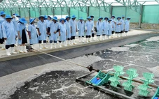Thu hút người tài ngành nông nghiệp và môi trường: đãi ngộ gắn với cổ phần, doanh thu dự án?