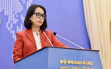 Việt Nam lên tiếng về đề xuất của ông Putin đàm phán trực tiếp với Ukraine