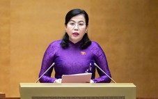 Trình luật rút ngắn quy trình, thủ tục bầu cử đại biểu Quốc hội, HĐND