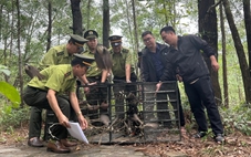Mang chim đến quán cà phê không có giấy tờ sẽ bị phạt