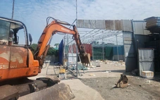 Hà Nội: một số xã lập tổ tuần tra canh giữ đất nông nghiệp