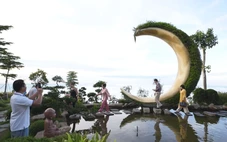 Cuộc thi clip ‘50 năm - Tỏa sáng miền Nam’: Điện lực Tây Ninh cùng phát triển du lịch