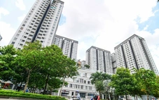 Ban quản trị chung cư không thể là 'tay ngang'