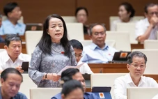 Đại biểu Quốc hội đề nghị giữ quyền chất vấn của HĐND với chánh án, viện trưởng