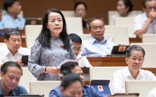 Đại biểu Quốc hội đề nghị giữ quyền chất vấn của HĐND với chánh án, viện trưởng