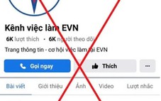 Tập đoàn Điện lực Việt Nam cảnh báo fanpage tuyển dụng giả mạo