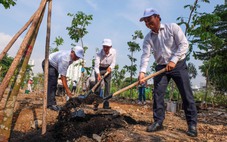 Trồng hơn 100 cây xanh, tăng mảng xanh cho công viên Khánh Hội