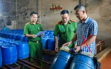Khởi tố chủ cơ sở sản xuất 60 tấn giá đỗ 'ngậm' chất kích thích