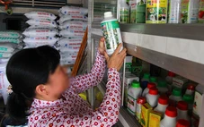 Bổ sung 406 loại thuốc bảo vệ thực vật vào danh mục được phép sử dụng tại Việt Nam