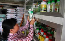 Bổ sung 406 loại thuốc bảo vệ thực vật vào danh mục được phép sử dụng tại Việt Nam
