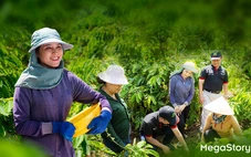 Hành trình 30 năm Nestlé Việt Nam: Vững niềm tin, kiên định mục tiêu phát triển bền vững