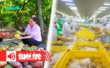 Điểm tin 8h: Giá ca cao tăng vọt; Nhiều doanh nghiệp Việt tăng tốc giao hàng sang Mỹ
