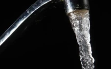 Phát hiện nguồn lây nhiễm siêu vi khuẩn nguy hiểm