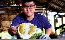 ‘Tân binh’ sầu riêng lăm le soán ngôi Musang King và Black Thorn