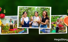 Lễ hội trái cây Nam Bộ 2025: từ mùa vụ đến văn hóa