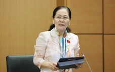 Đại biểu đề nghị làm rõ nguồn thu, chi Quỹ Nhà ở quốc gia khi làm nhà ở xã hội