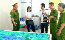 Tiêu hủy gần 850.000 con tôm hùm giống nhập lậu trị giá 34 tỉ đồng