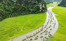 Lúa chín gọi mời, Ninh Bình khai hội ‘Sắc vàng Tam Cốc - Tràng An’