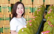 Lạng Sơn cảnh báo kiểm soát chặt dư lượng Cadimi, chất vàng O trong sầu riêng xuất khẩu