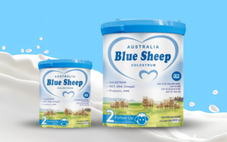 Tạm dừng lưu thông 13 sản phẩm dinh dưỡng của Công ty Blue Sheep