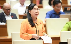 Hình phạt chung thân không giảm án ‘chưa chắc đã nhân văn hơn tử hình’?