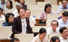 Đại biểu Quốc hội đề xuất bổ sung án tử hình tội phạm sản xuất thuốc giả, sữa giả