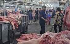 Giá heo hơi miền Nam 'lên đỉnh', người nuôi bớt lo