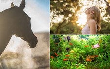 Vì sao gần như toàn bộ sự sống trên Trái đất đều hít thở oxy?