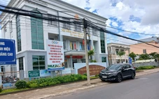 Lãnh đạo 57 xã, phường tỉnh Tiền Giang được bố trí thế nào?
