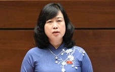 Bộ trưởng Đào Hồng Lan báo cáo Quốc hội về lời hứa quản lý mỹ phẩm, thực phẩm chức năng