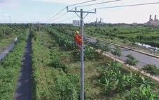 Cuộc thi clip ‘50 năm - Tỏa sáng miền Nam’: Chuyển đổi số trong công tác kỹ thuật