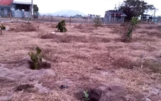 Vụ án bị bưu tá 'phát nhầm' bưu phẩm: Nạn nhân được hướng dẫn gửi lên tòa tối cao