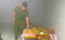 Chỉ ở 2 cơ sở chế biến thực phẩm, phát hiện 5 tấn nguyên liệu không rõ nguồn gốc