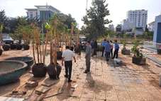 Doanh nghiệp lấn chiếm đất chung cư nhưng chây ì việc khắc phục