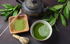Uống nhiều matcha có thể gây tình trạng thiếu máu?