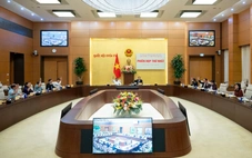 Hướng dẫn chi tiết các hình thức để người dân góp ý sửa Hiến pháp