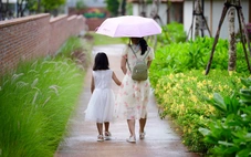 Khó khăn giải quyết ly hôn, tòa án phải xác minh mâu thuẫn vợ chồng tại nơi cư trú