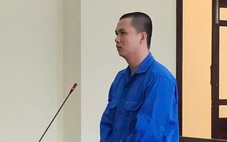 Trưởng bộ phận bán thuốc trừ sâu chiếm đoạt tiền thu từ đại lý, nhận 27 năm tù