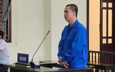 Trưởng bộ phận bán thuốc trừ sâu chiếm đoạt tiền thu từ đại lý, nhận 27 năm tù