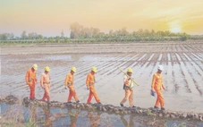 Cuộc thi clip ‘50 năm - Tỏa sáng miền Nam’: Ngành Điện Đồng Tháp - Tự hào truyền thống