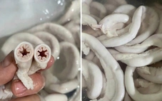 Kiểm tra đồng loạt nhiều cơ sở bán lòng se điếu tại TP.HCM