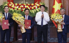 Ông Nguyễn Hoàng Anh, Cấn Đình Tài, Nguyễn Dũng Tiến làm phó chủ nhiệm Văn phòng Chủ tịch nước