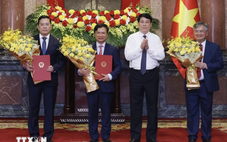 Ông Nguyễn Hoàng Anh, Cấn Đình Tài, Nguyễn Dũng Tiến làm phó chủ nhiệm Văn phòng Chủ tịch nước