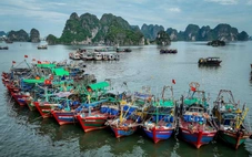 Lệnh cấm đánh bắt cá trên Biển Đông của Trung Quốc đã xâm phạm quyền chủ quyền của Việt Nam