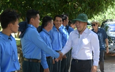 Đội K92 cất bốc 12 bộ hài cốt liệt sĩ ở Campuchia