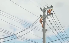Cuộc thi clip ‘50 năm - Tỏa sáng miền Nam’: Ngành điện chú trọng đầu tư hạ tầng lưới điện nông thôn