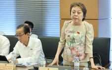 Đại biểu Phạm Khánh Phong Lan: Mới nói sẽ kiểm tra, quán nào cũng báo hết lòng se điếu