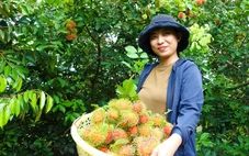 Du khách mê trải nghiệm du lịch gắn liền với vườn cây ăn trái ở Phú Quốc